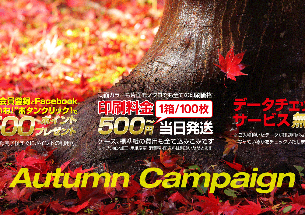 名刺印刷応援★AUTUMNキャンペーン★